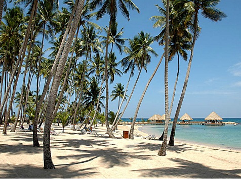 saona island