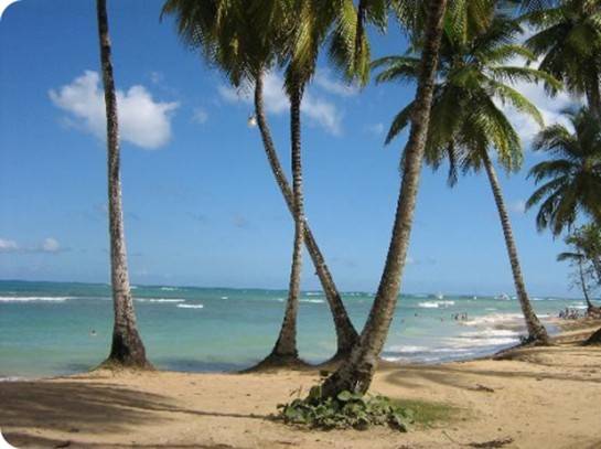 Las Terrenas