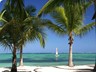 bavaro1