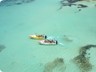 bayahibe5