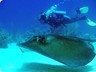 bayahibe7