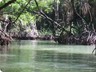 samana8