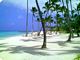 bavaro1