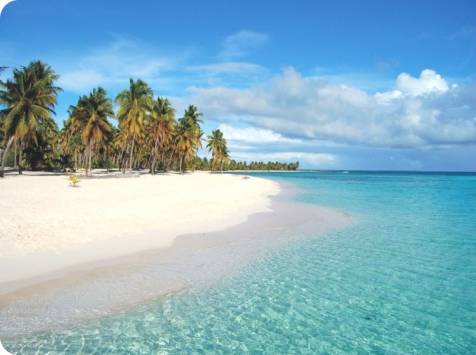 saona island