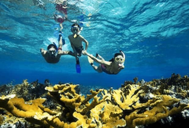 snorkeling