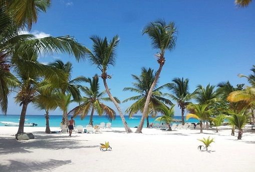 saona beach